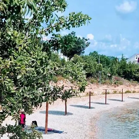 Exotic * Jasenice (Zadar)